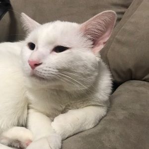 Meet your Posher, Jasna